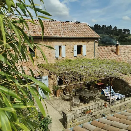 Les Iris Des Rieux Les Salelles