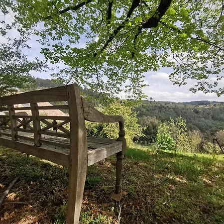 Les Iris Des Rieux